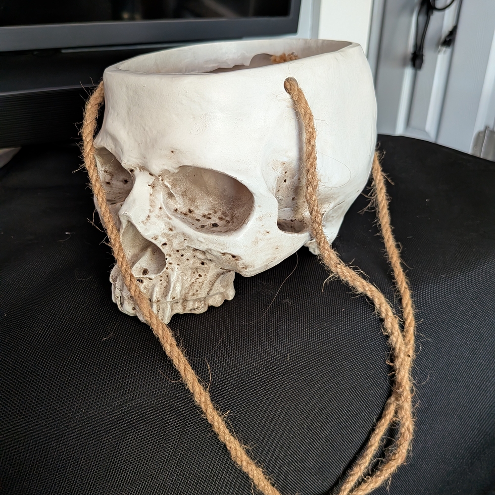 Hanging Skull Planter - Large - Picture 2 of 8